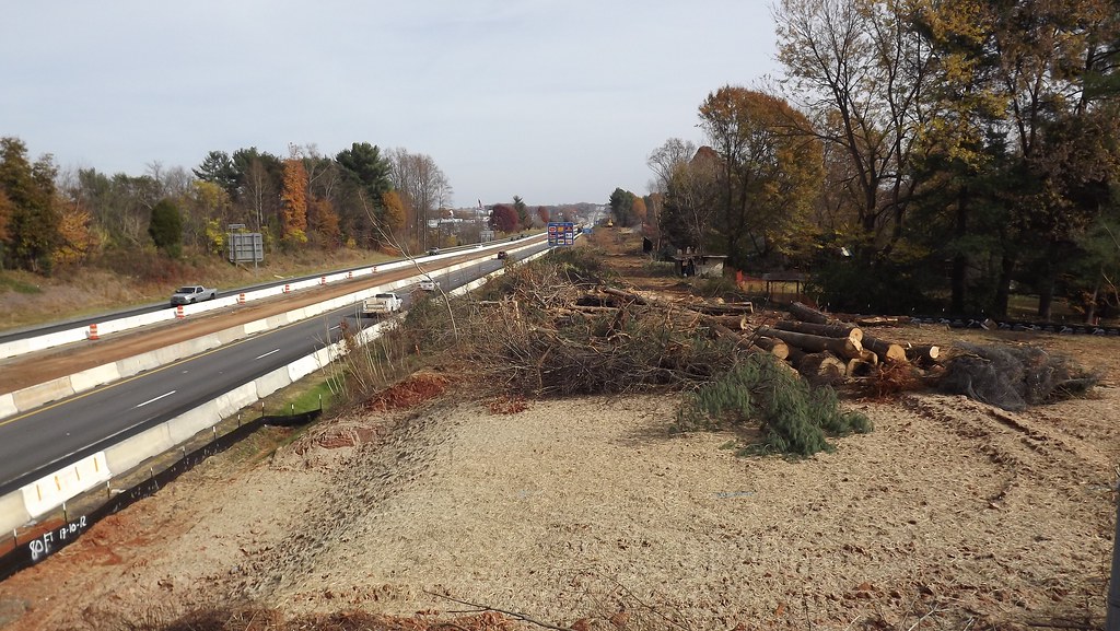 Cleared right of way with brush and small trees removed